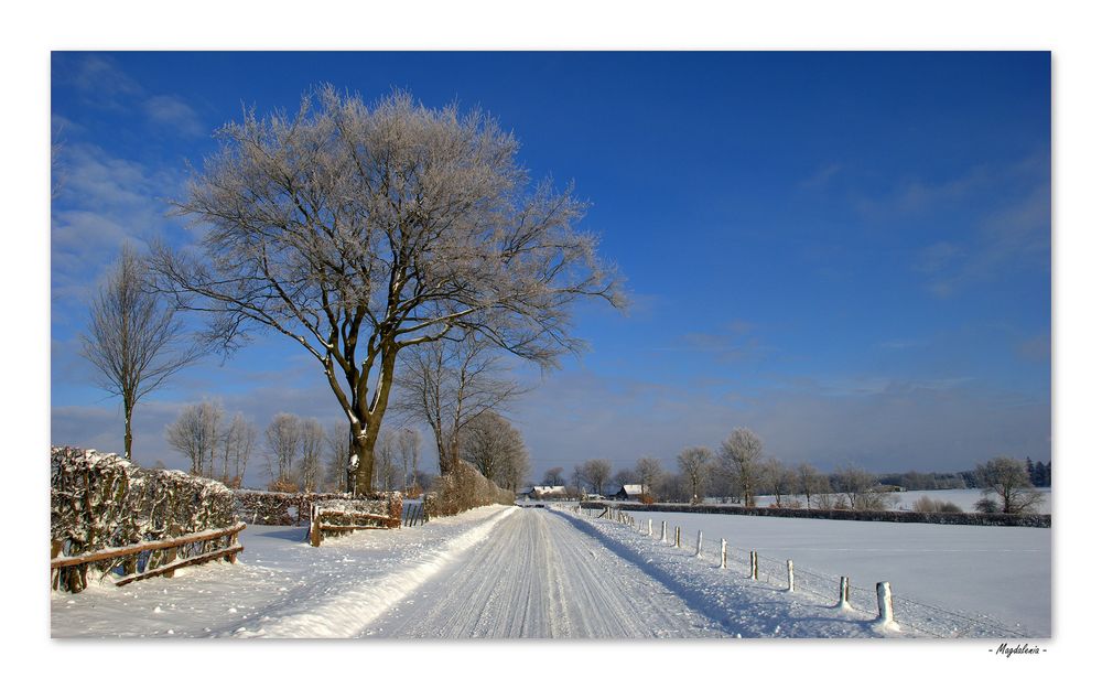 Le silence de l'hiver -1