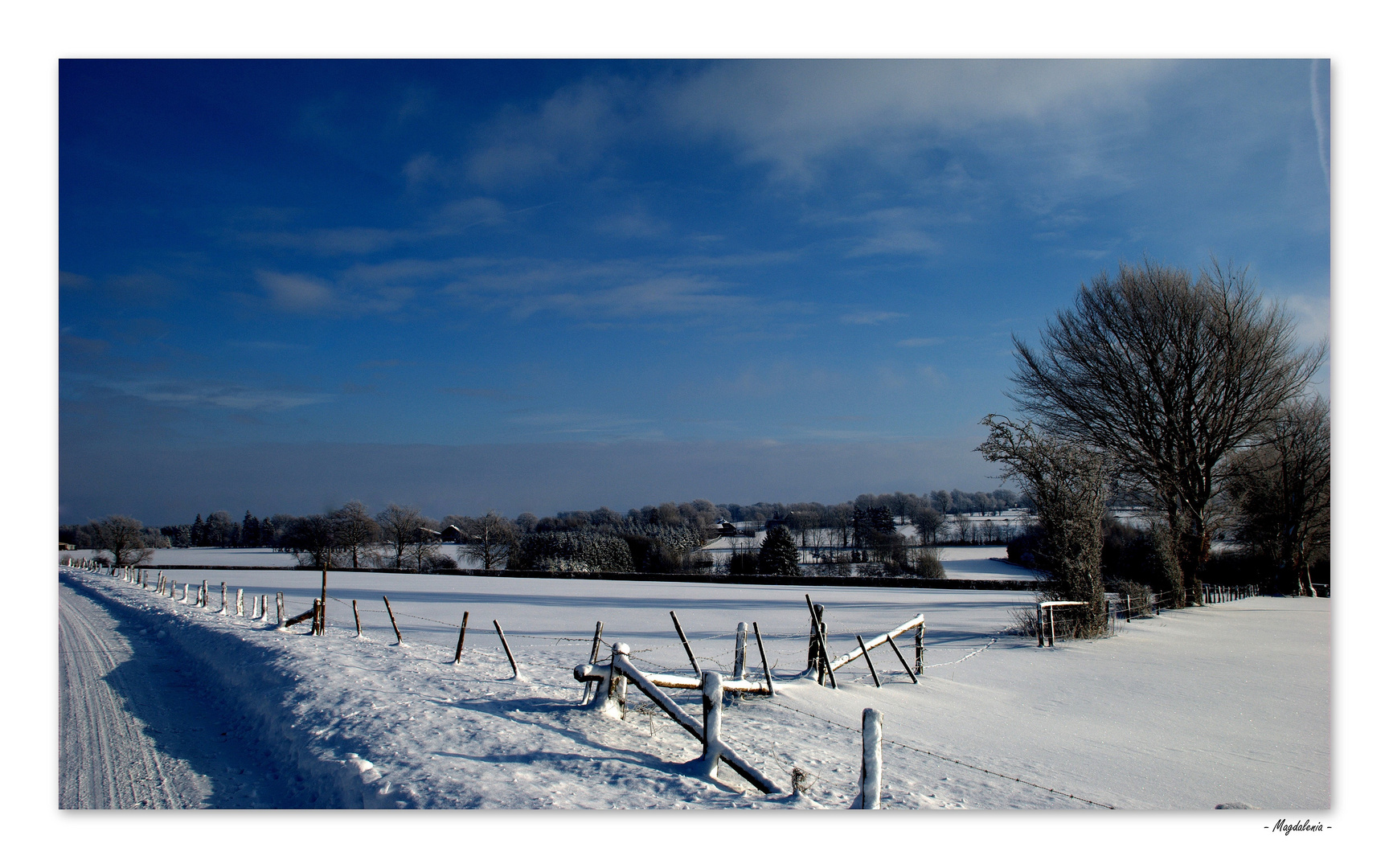 Le silence de l'hiver -2