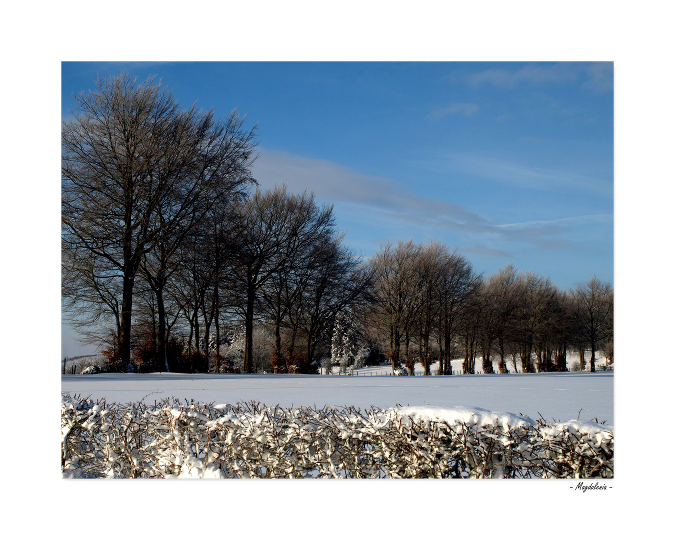 Le silence de l'hiver - 4