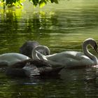 le silence des Anges