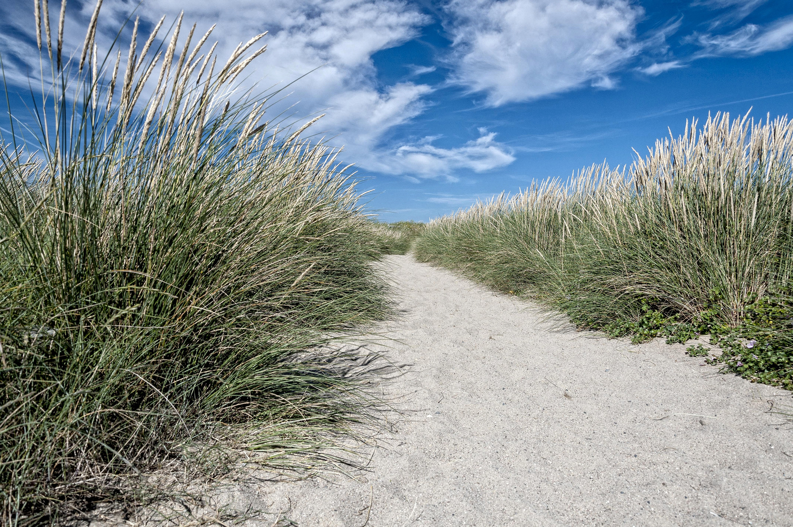 Le sillon de Talbert