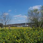 Le site AZF à Toulouse