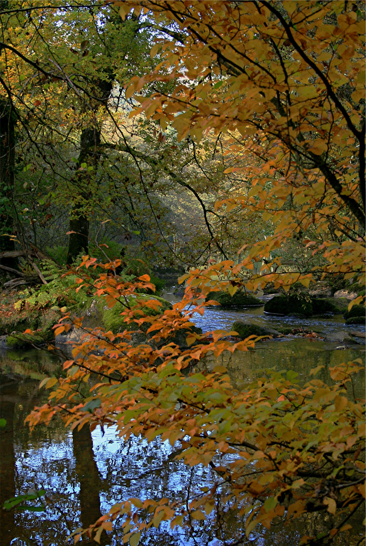 LE SITE COROT à ST JUNIEN