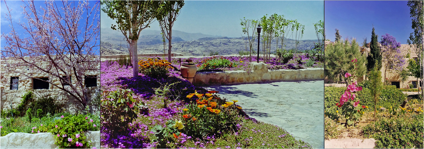 Le Sofitel Petra Taybet Zaman au printemps