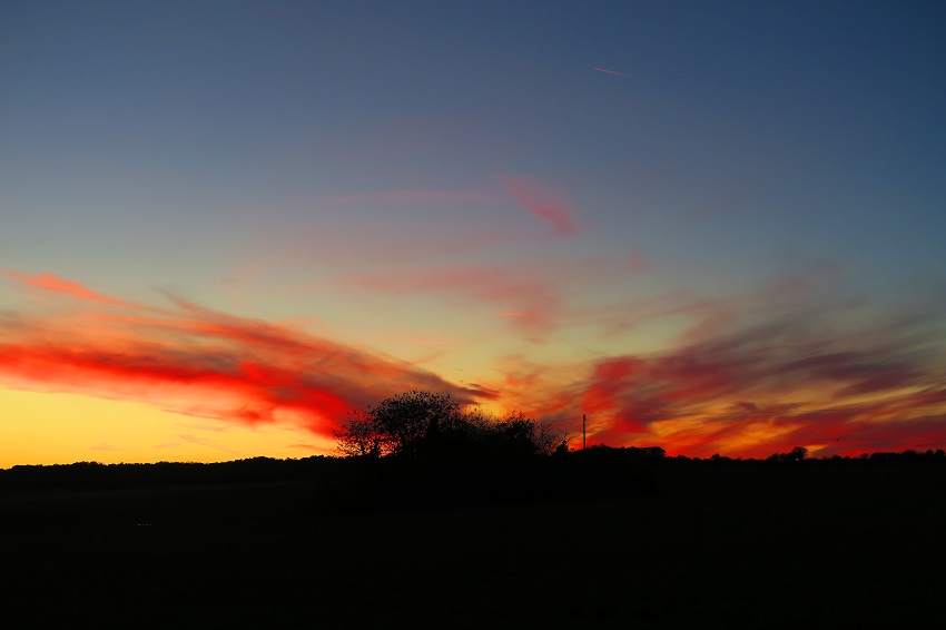 Le soir