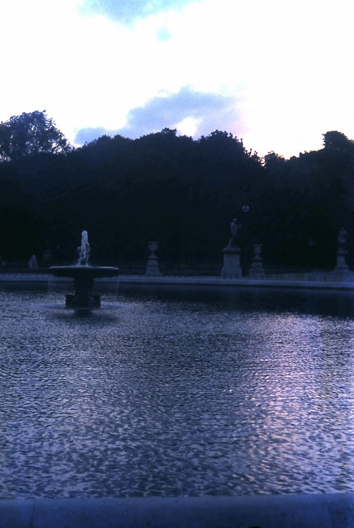 Le soir aux Tuileries