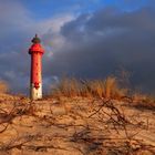 Le soir dans les dunes