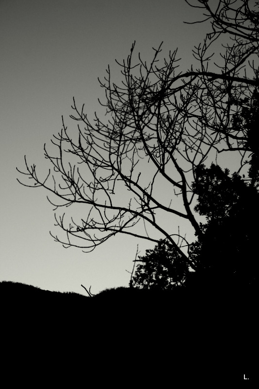 Le soleil a rendez-vous avec la Lune