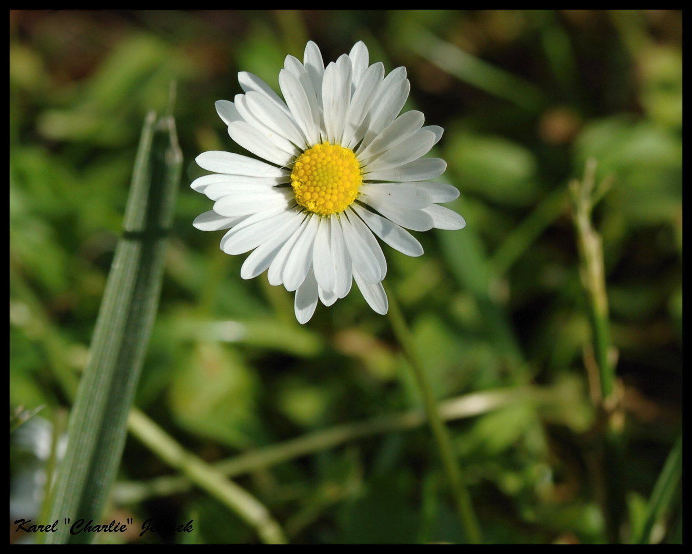 Le soleil blanc