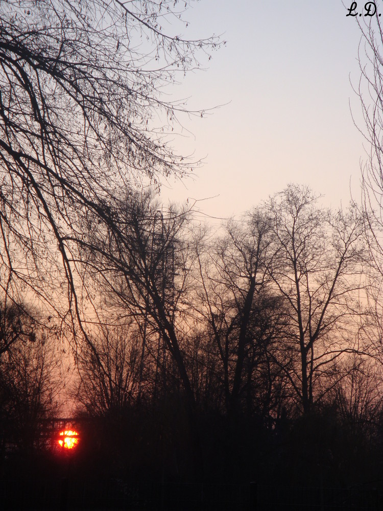 Le soleil couchant