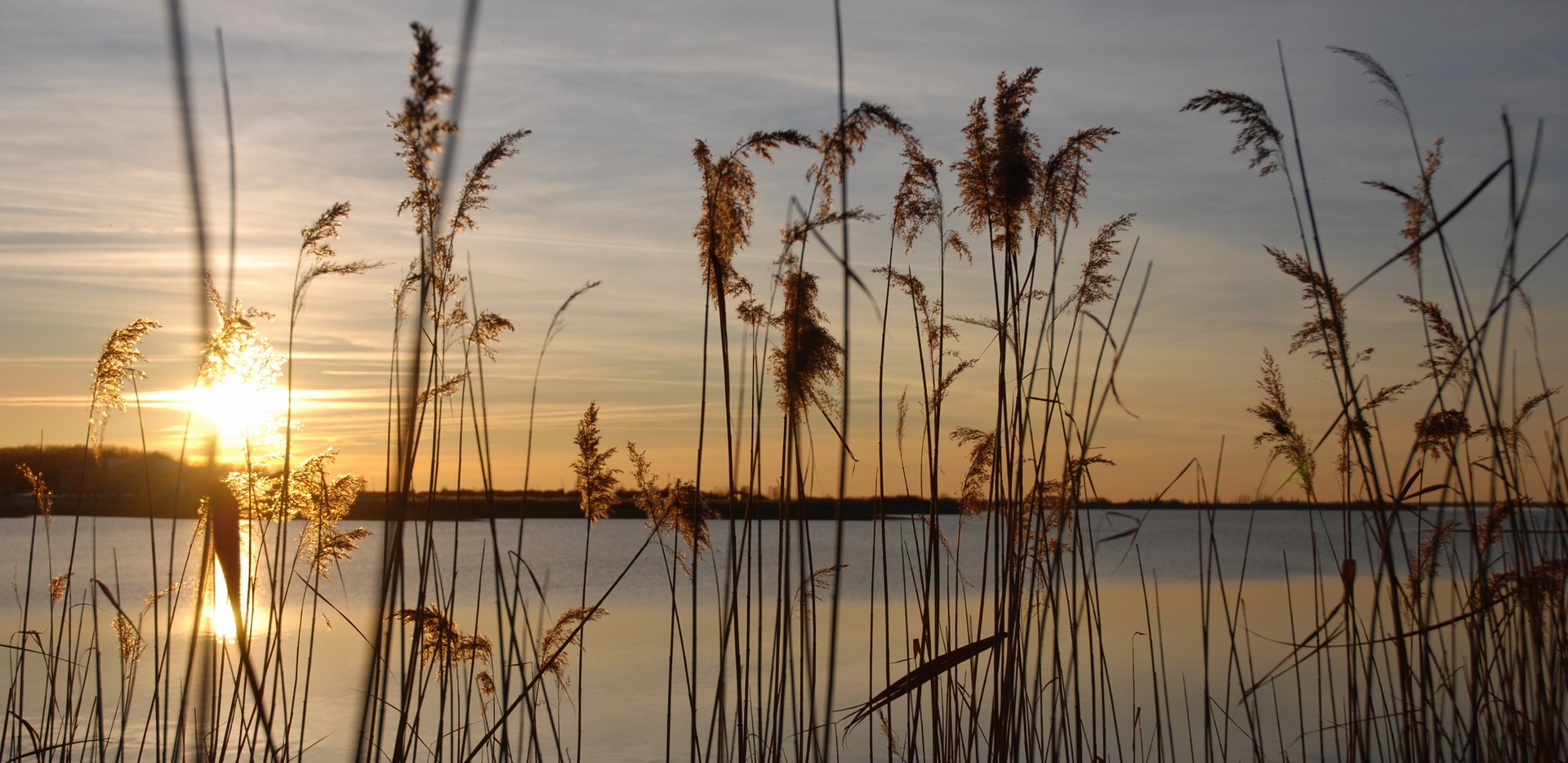 Le soleil décline sur le lac du Der