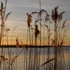 Le soleil décline sur le lac du Der