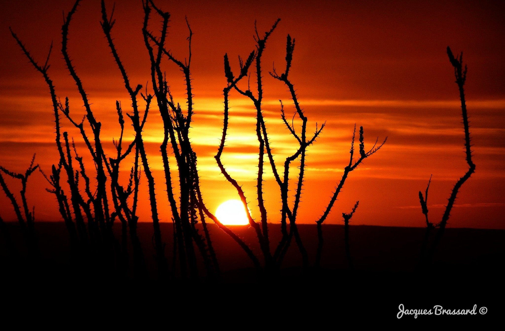 Le soleil du matin