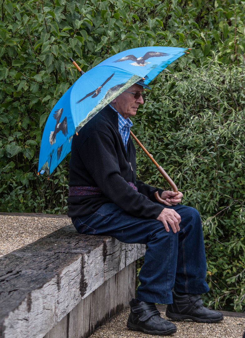 le soleil peut transformer des parapluies en ombrelles