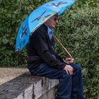 le soleil peut transformer des parapluies en ombrelles