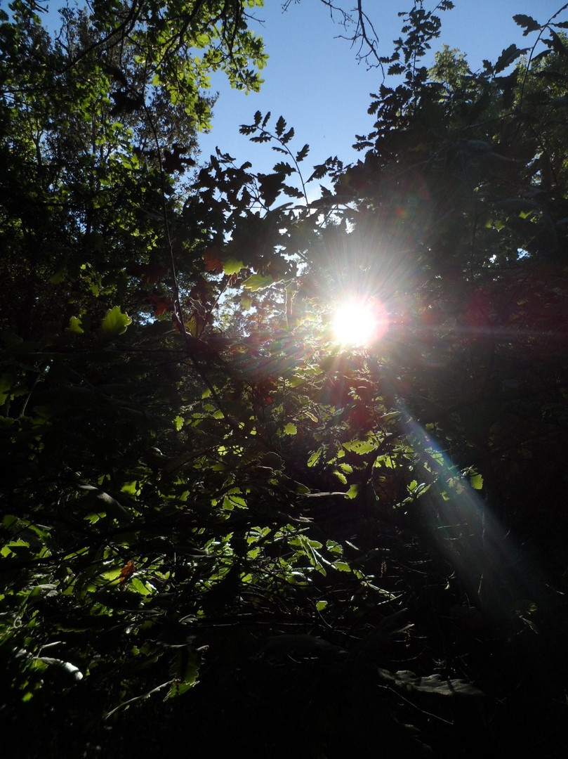 le soleil rappel sa présence