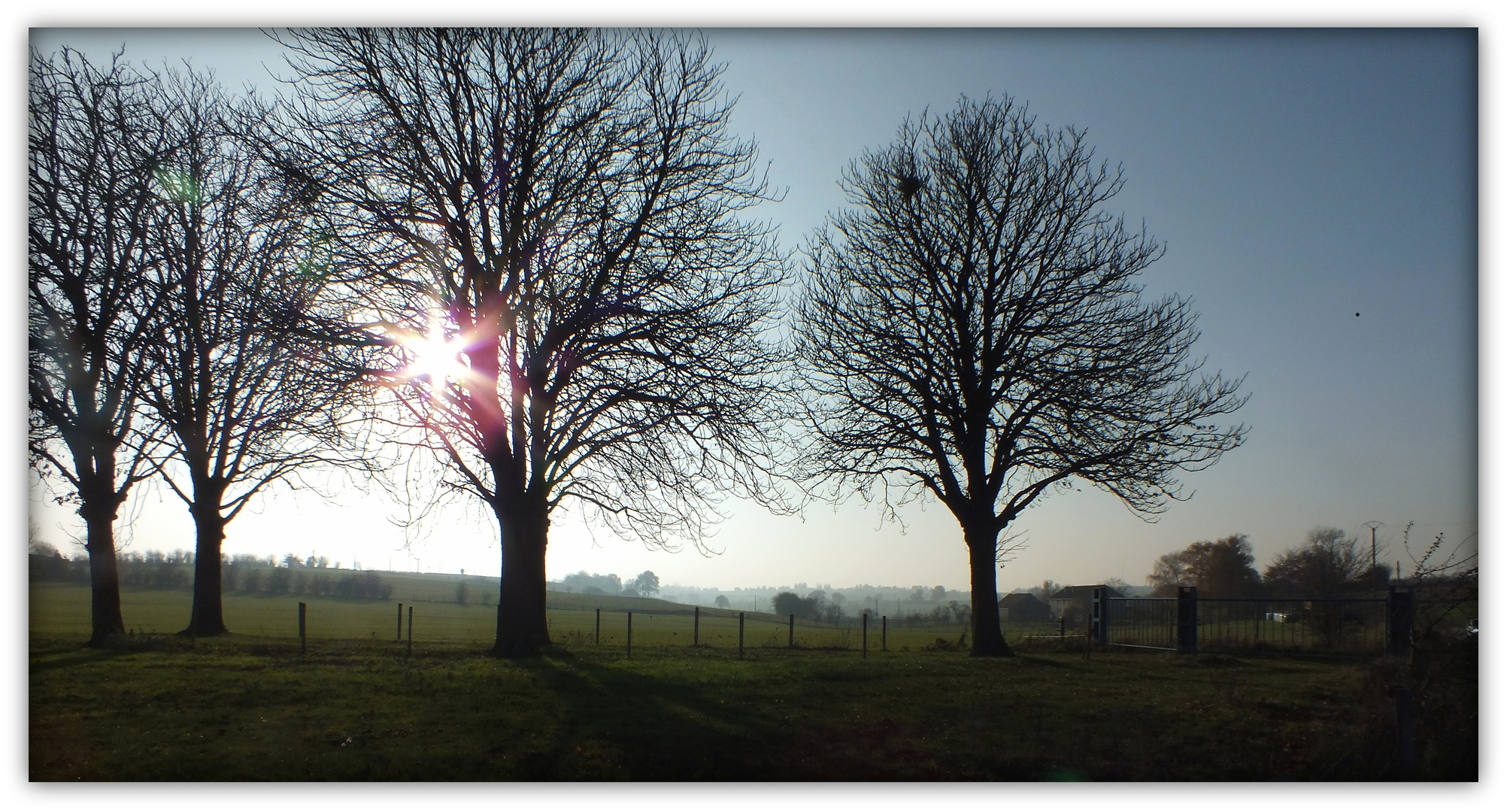 Le soleil s'aventura si bas qu'il fût pris dans les branchages des arbres.