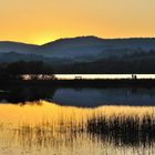 Le soleil se couche sur le lac de Remoray - Doubs