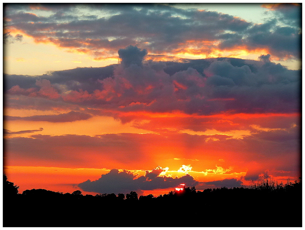 LE SOLEIL SE COUCHE sur le Parc .