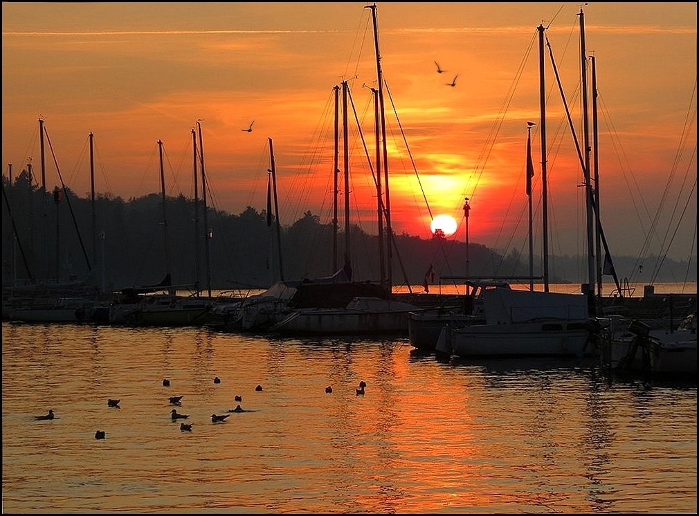 le soleil se couche sur le port de Thonon