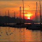 le soleil se couche sur le port de Thonon