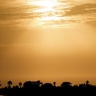 Le Soleil se couche sur le Sénégal