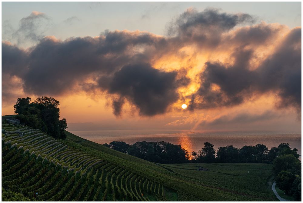 Le soleil se lève