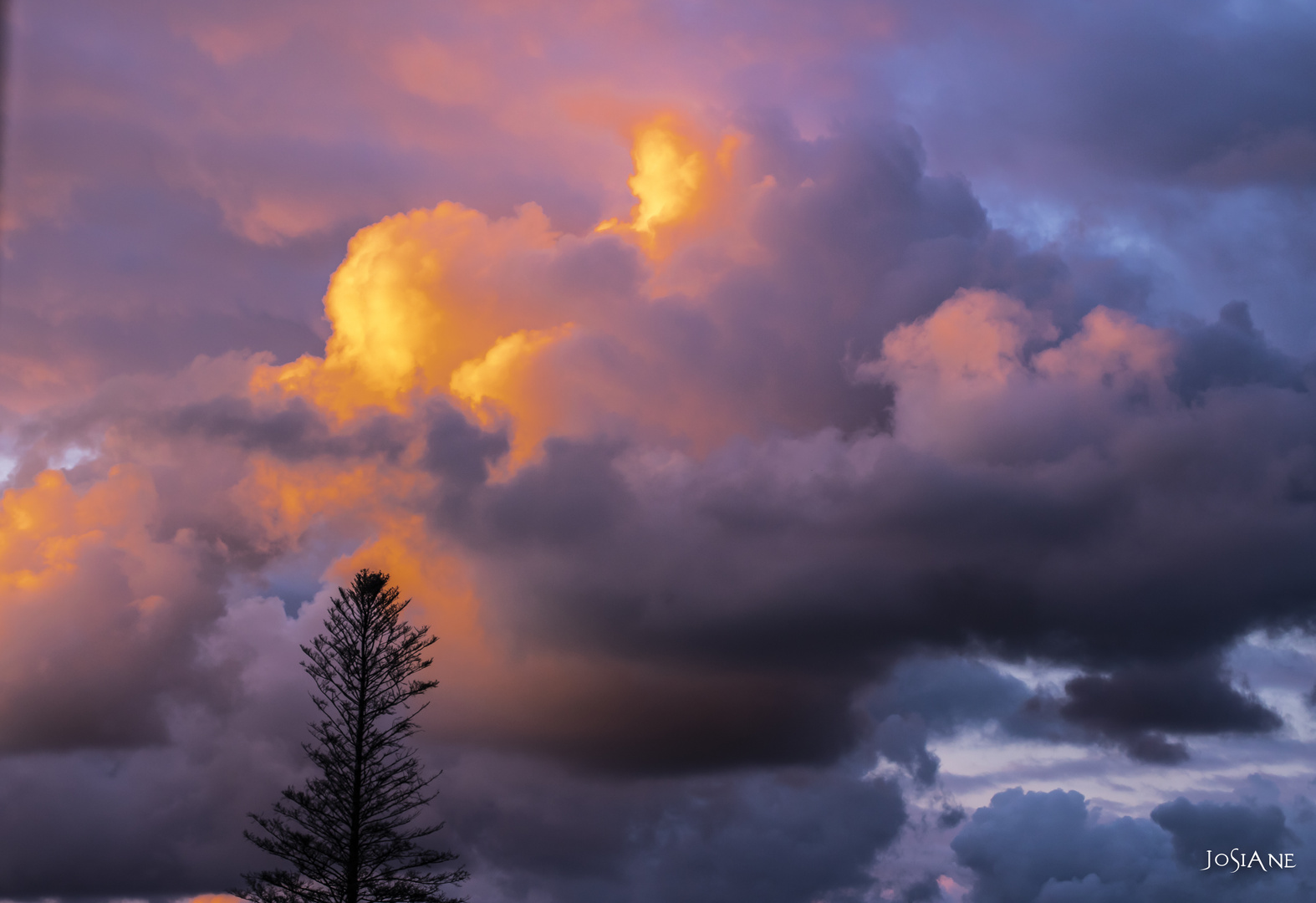 LE SOLEIL SE LEVE photo et image nature, soleil, rouge Images