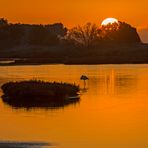 Le soleil se lève dans les Vieux Salins ....