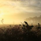 Le soleil se lève ( fin ) !