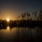 Le soleil s'est couché sur notre campagne....Bonne nuit!