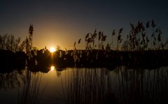 Le soleil s'est couché sur notre campagne....Bonne nuit!