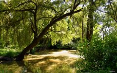 Le soleil sur le Marais Poitevin