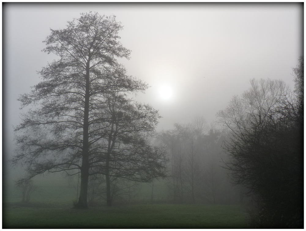 LE SOLEIL VA PERCER LA BRUME