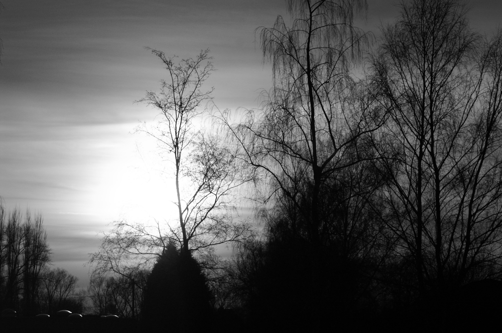 Le Sombre Photo Et Image Arbres Nature Images Fotocommunity Le Sombre Photo Et Image Arbres Nature Images Fotocommunity