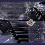 le son du piano