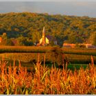 Le souffle d'or d'un soir ...