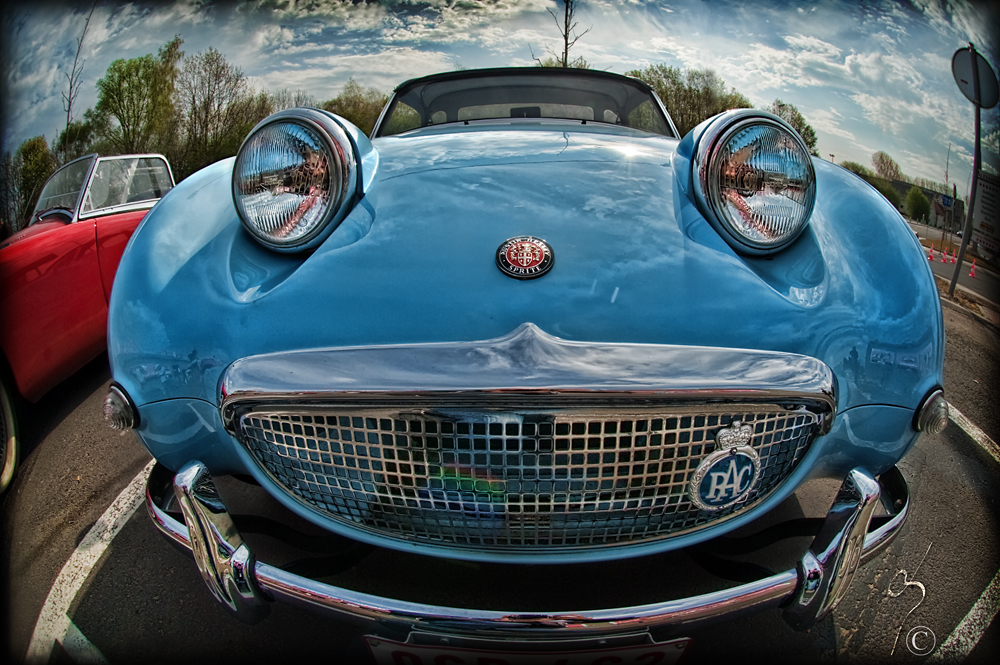 Le sourire de la baleine ... bleue