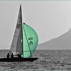 le spinnaker personnalisé vert ....