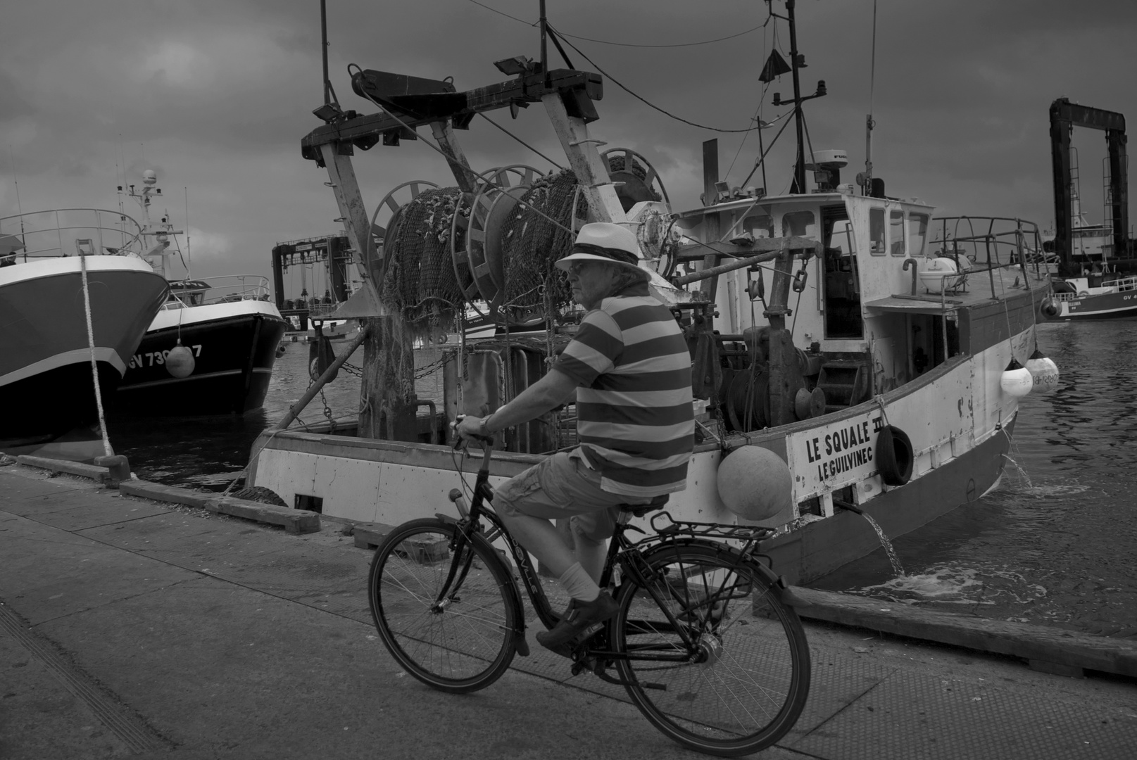 Le squale ... à rayures !