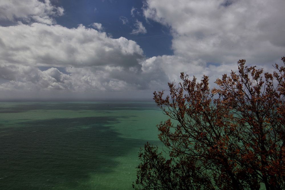 le stagioni del mare