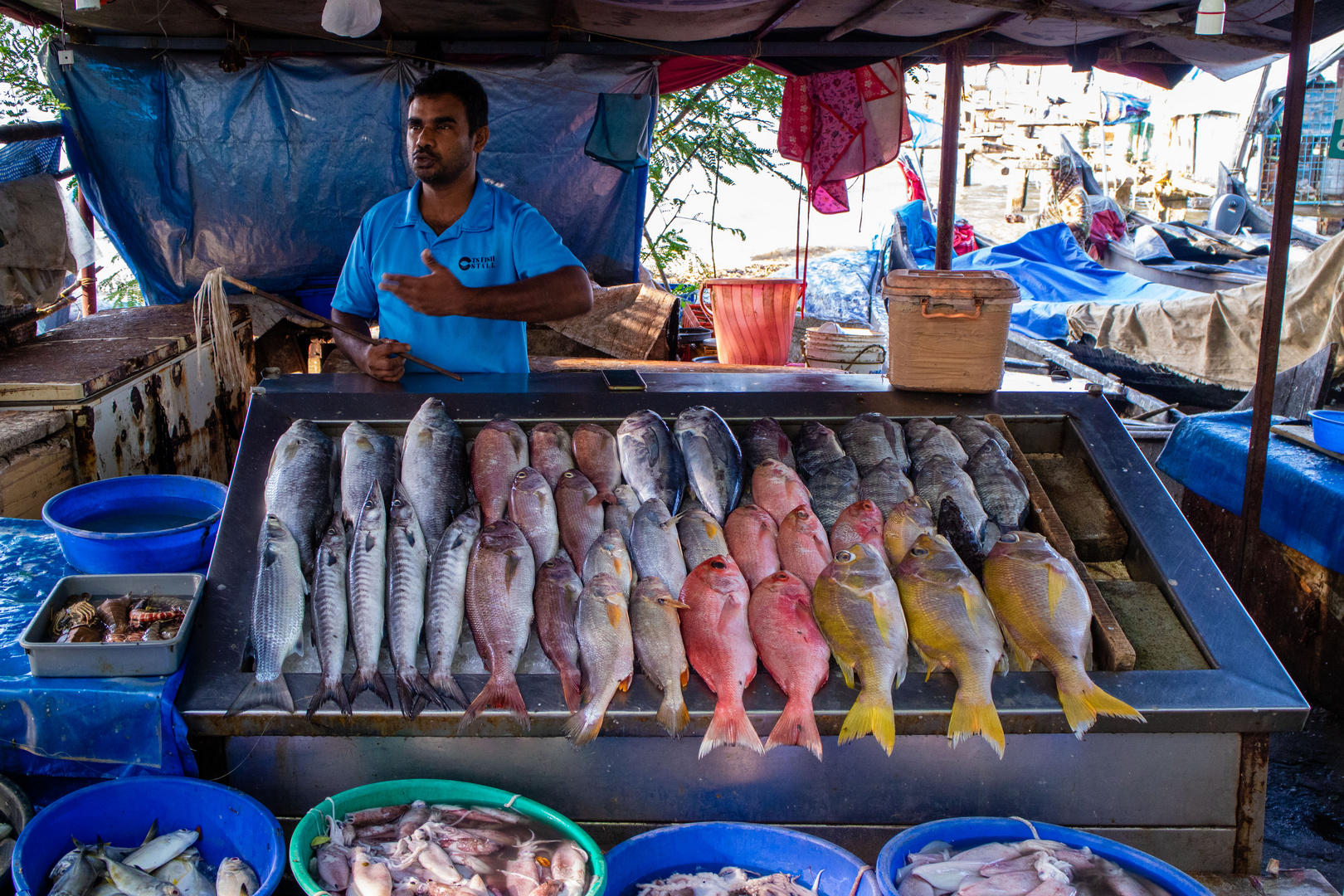 Le stand à poisson sur les quais de Cochin