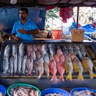 Le stand à poisson sur les quais de Cochin