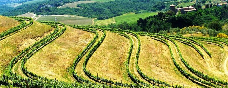 Le Strade del Vino