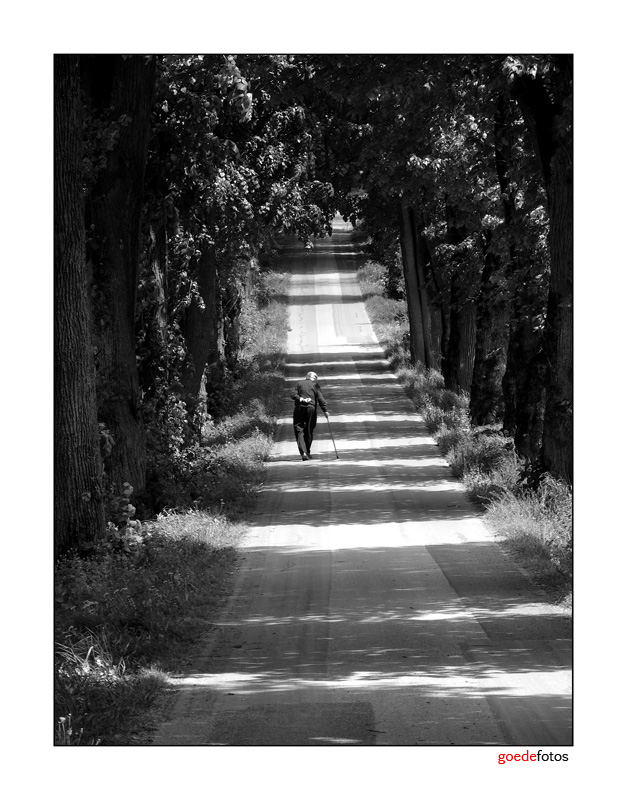 Le strade della vita