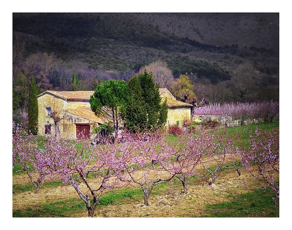 Le sud enchanteur