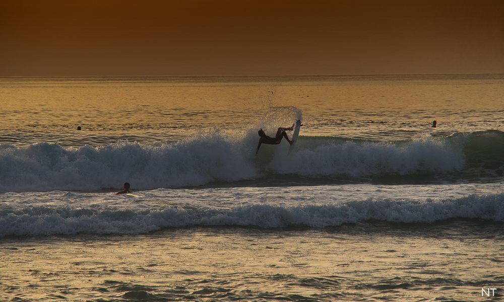 Le Surfer.