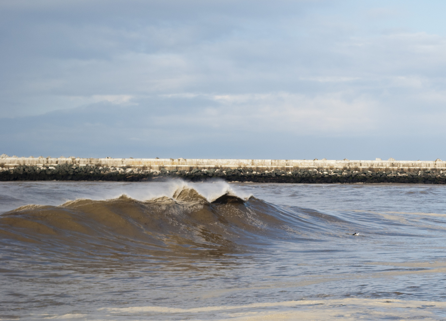 Le surfeur qui n'a pas peur !