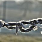 Le symbole glacial du barbelé