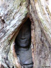 Le Ta Prohm (5)